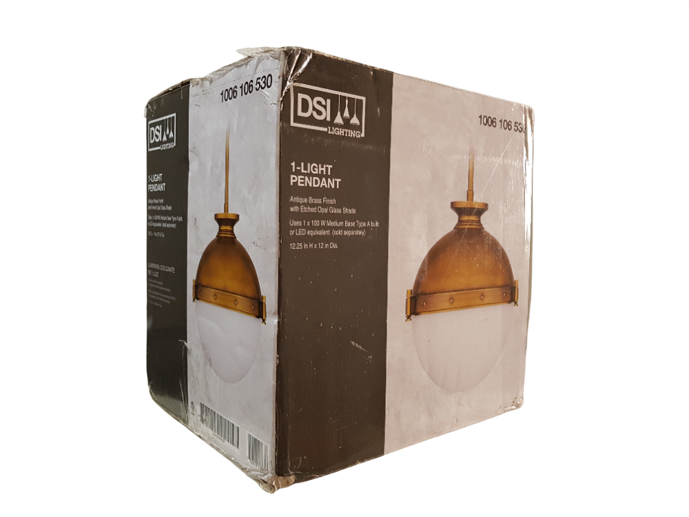Lámpara colgante de 1 luz - DSI Lighting (Nuevo, caja abierta)